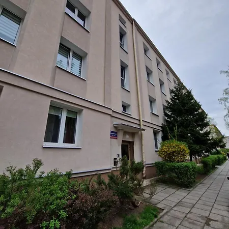 Japandi Centrum Netflix Apartment