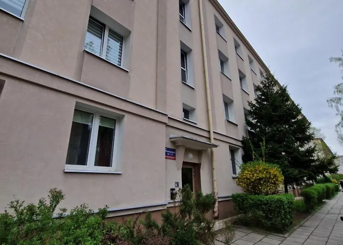 Japonski Sen Centrum Netflix Apartment