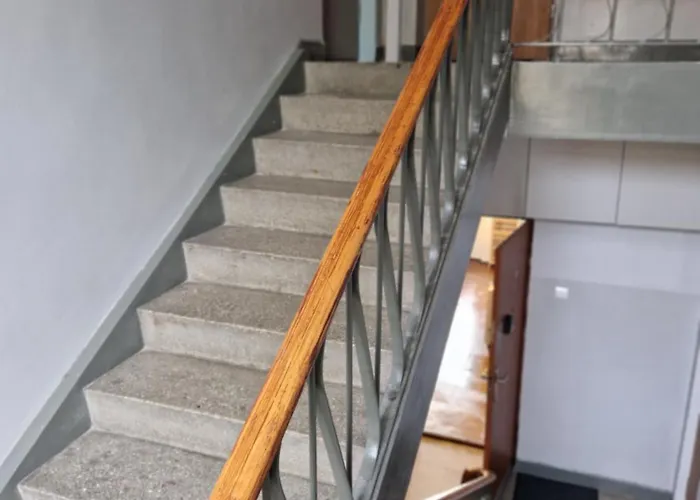 Japonski Sen Centrum Netflix *