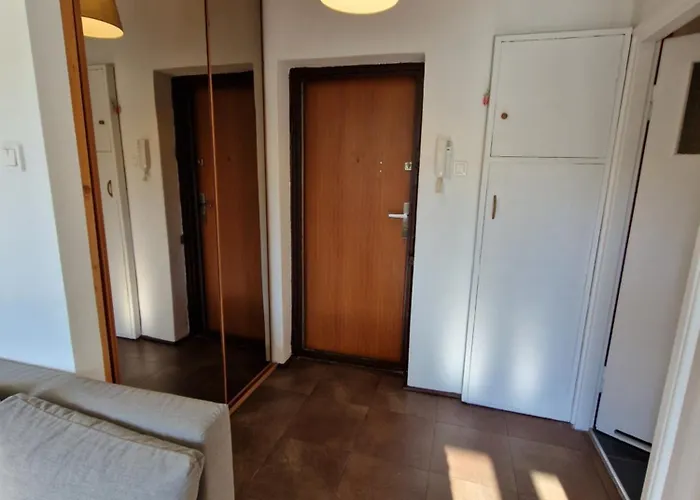 Japonski Sen Centrum Netflix Apartment Lodz