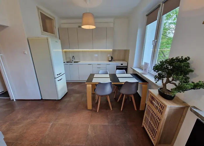 Apartment Japonski Sen Centrum Netflix Lodz