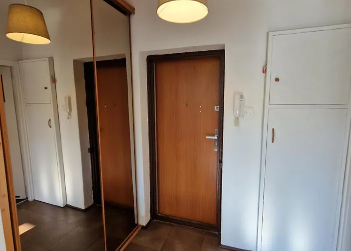 Japonski Sen Centrum Netflix Łódź