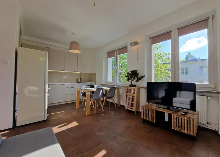 Japonski Sen Centrum Netflix Apartment Lodz